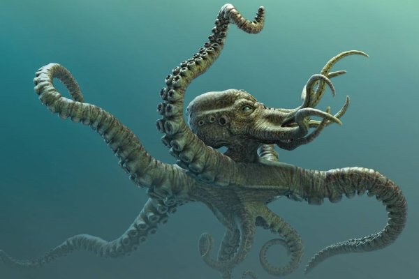 Kraken 4