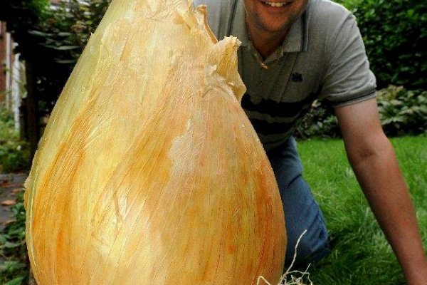 Matangapatoo7b4vduaj7pd5rcbzfdk6slrlu6borvxawulquqmdswyd onion сайт матанга onion top com