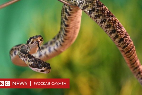 Как снять забанены на сайт матанга