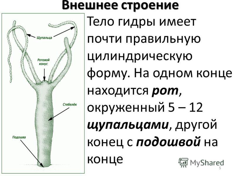 Кракен сайт krk market com